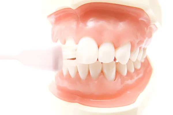 入れ歯-画像